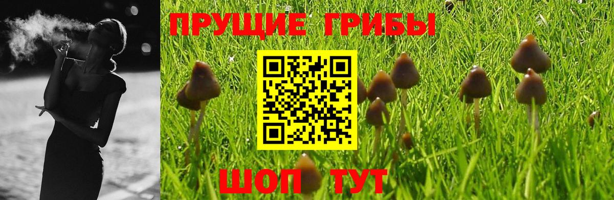 Галлюциногенные грибы Cubensis  Вход с VPN  Куйбышев 
