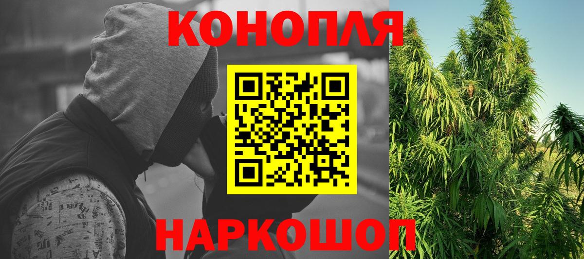Каннабис гибрид Куйбышев